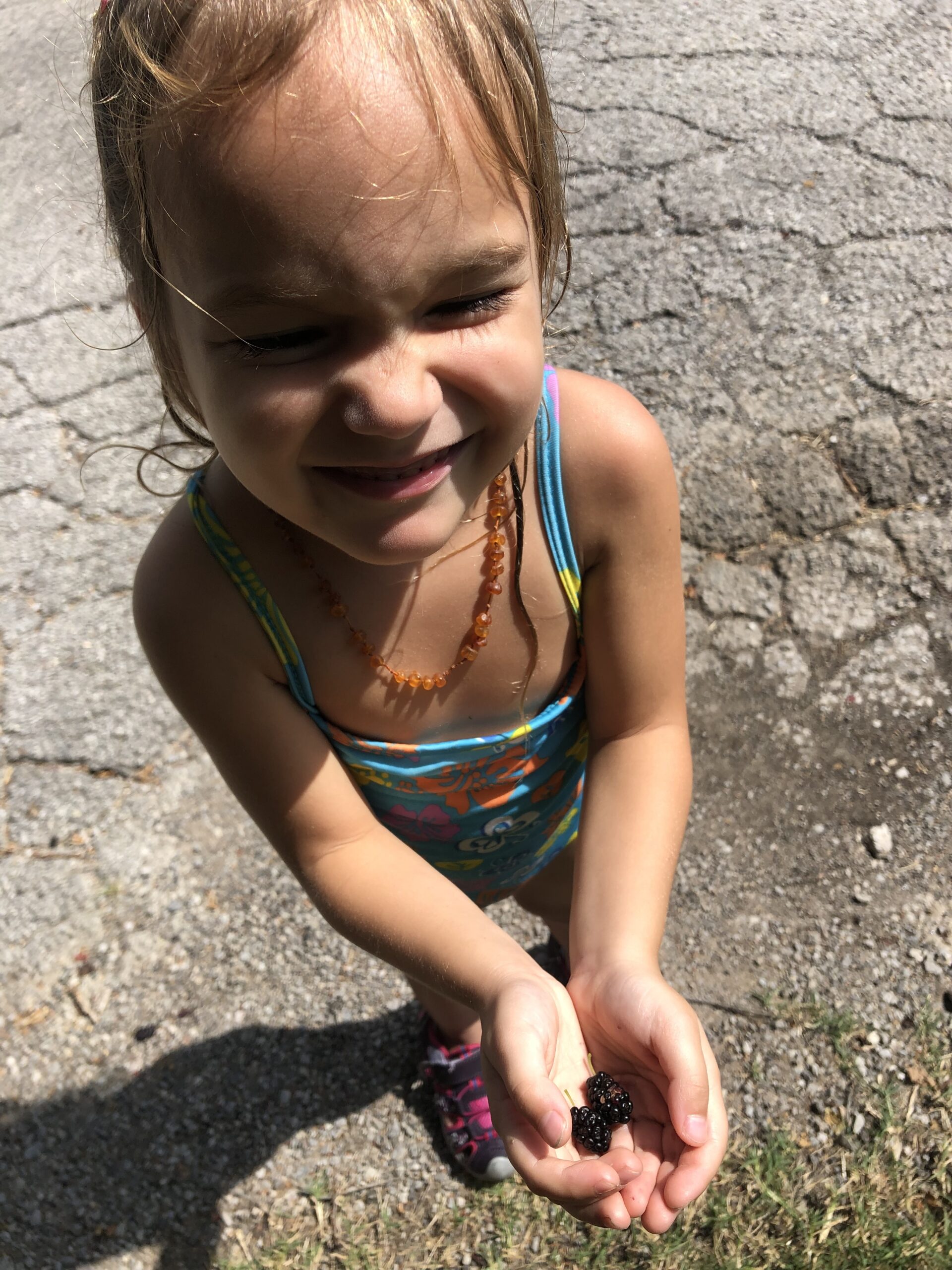 Day 2 of Our Road Trip To Utah and Idaho. Plus day 7 of Eating 18 Bananas a Day.