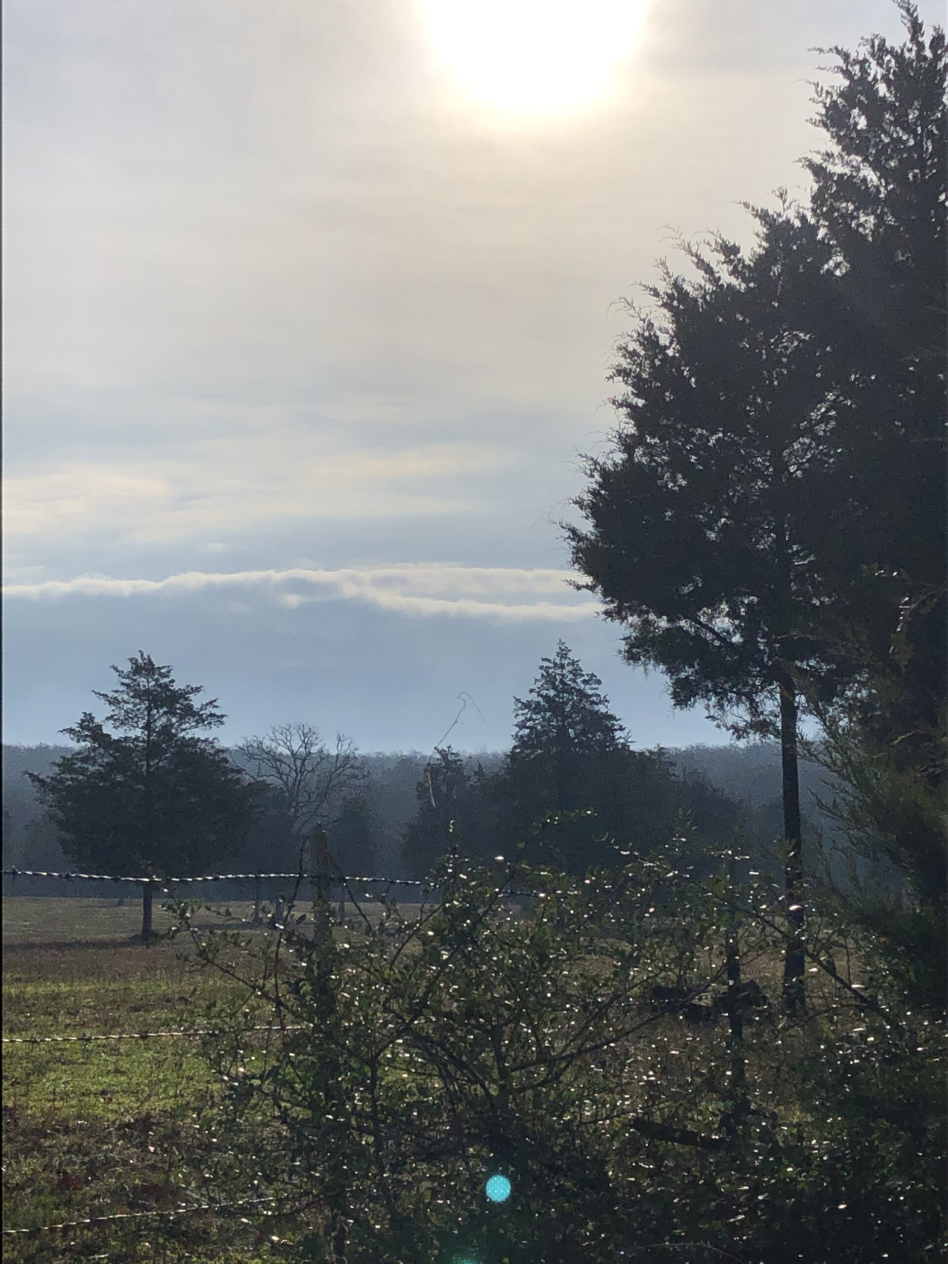 Support and encouragement: Yesterday and Today’s Letters to Christopher