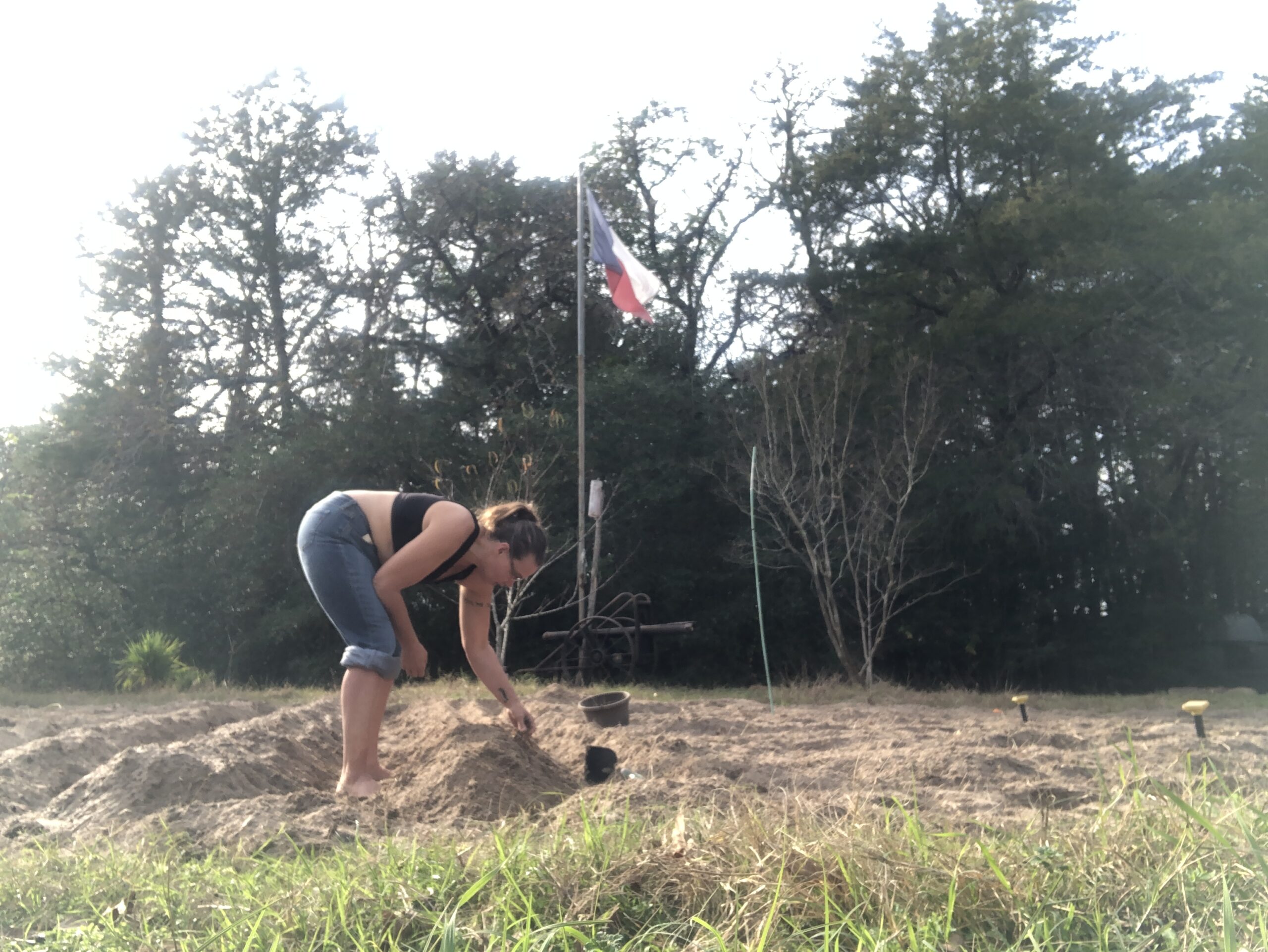 60 acre backyard: Todays Letter to Christopher