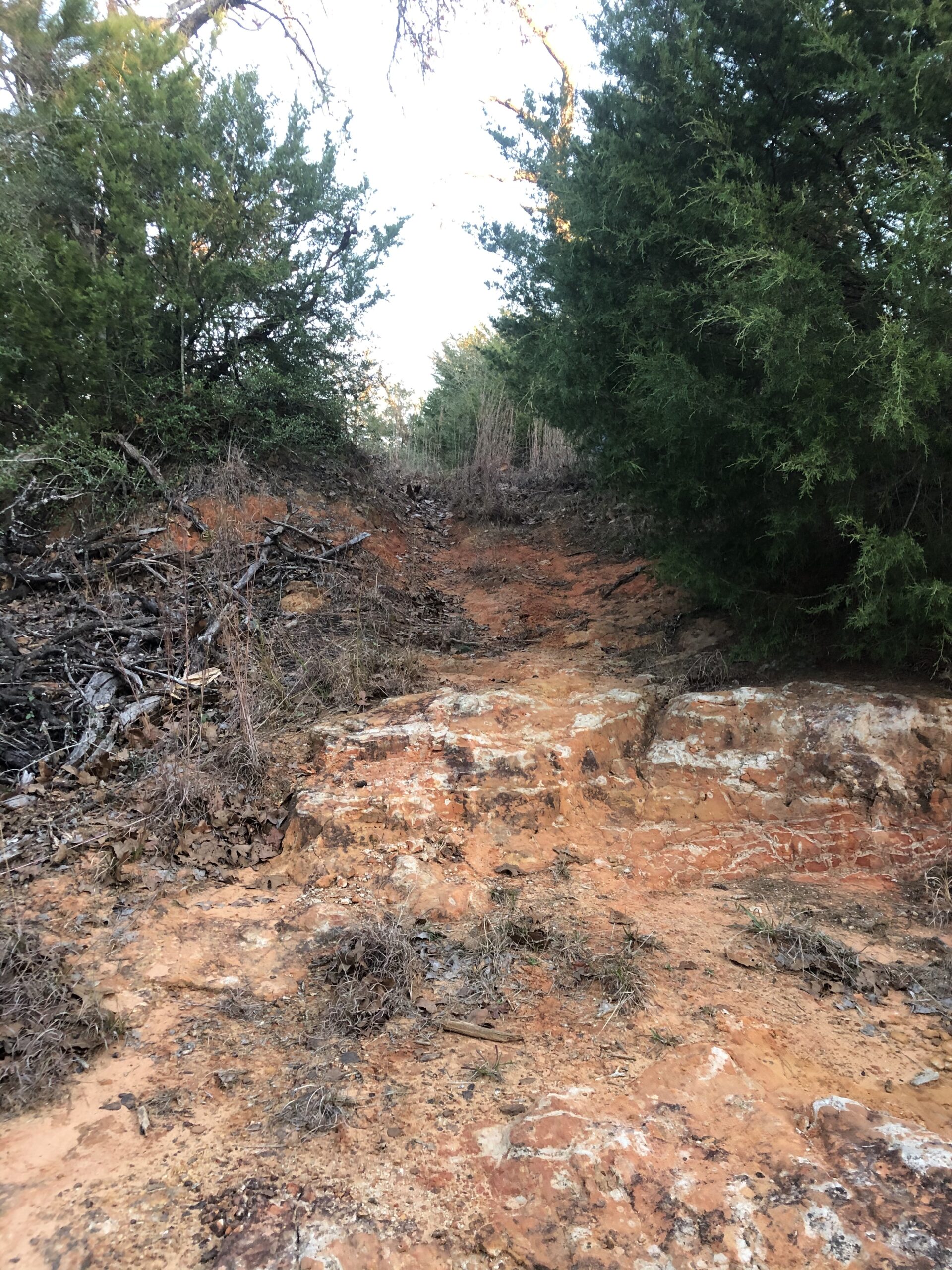 Crashing, Basking and Foraging Day 3