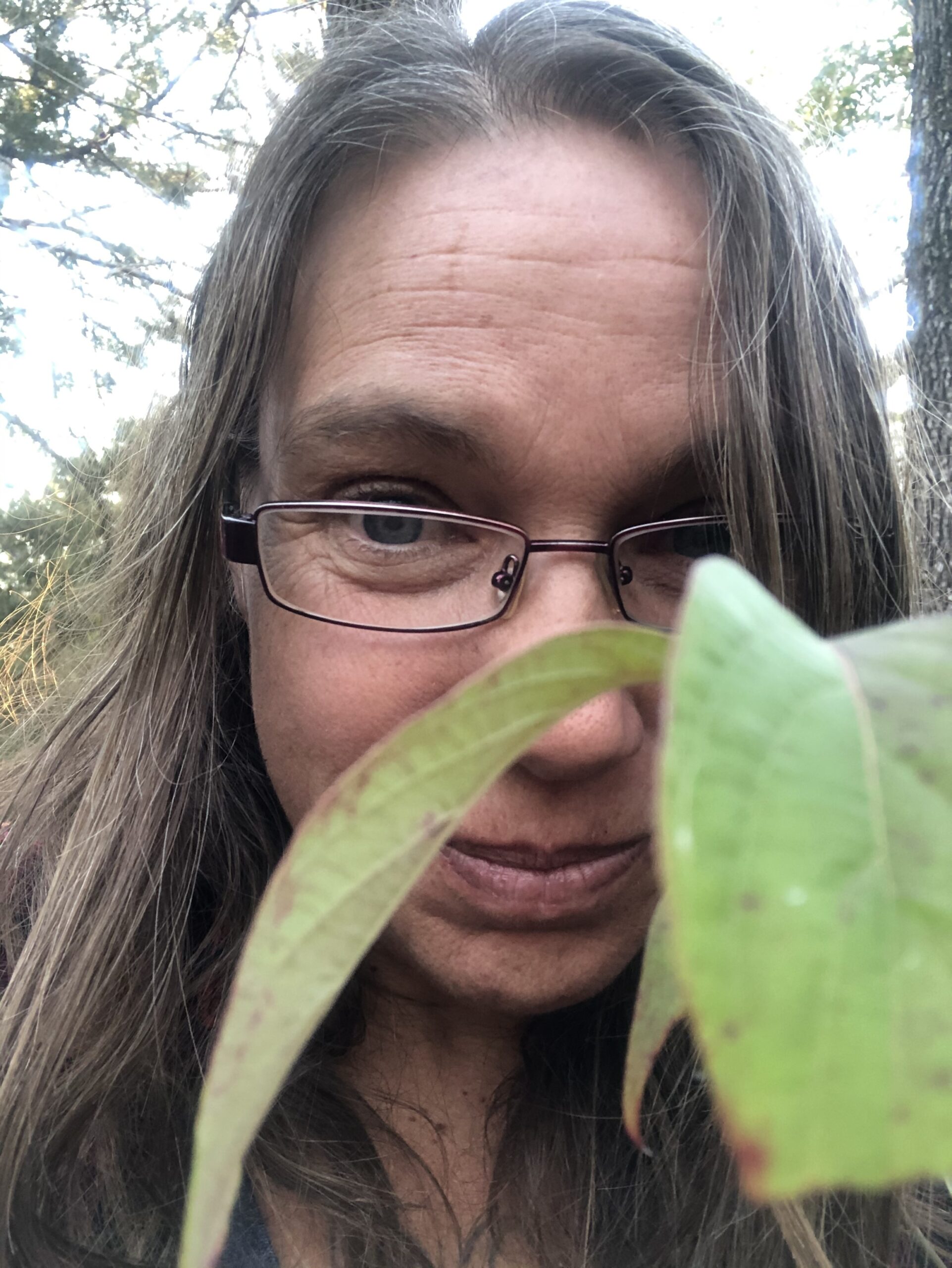 Foraging Day 4: Dogwood Tree and a Big Refrigerator.