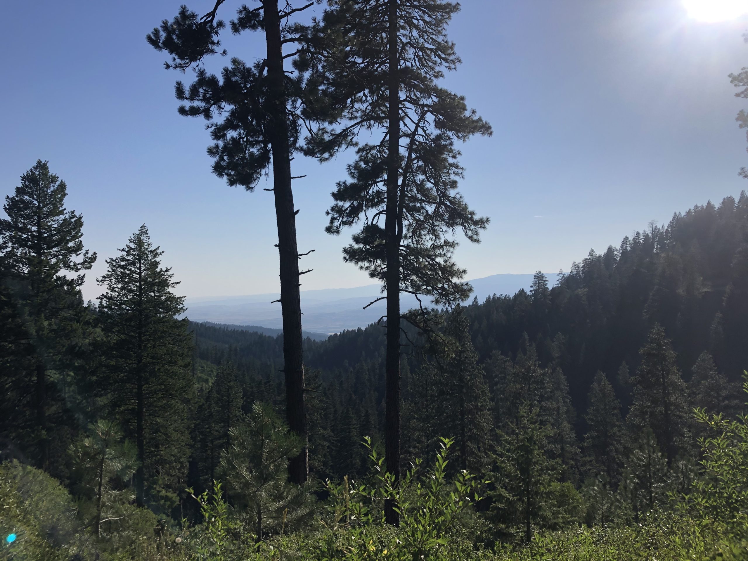 A Letter to Christopher