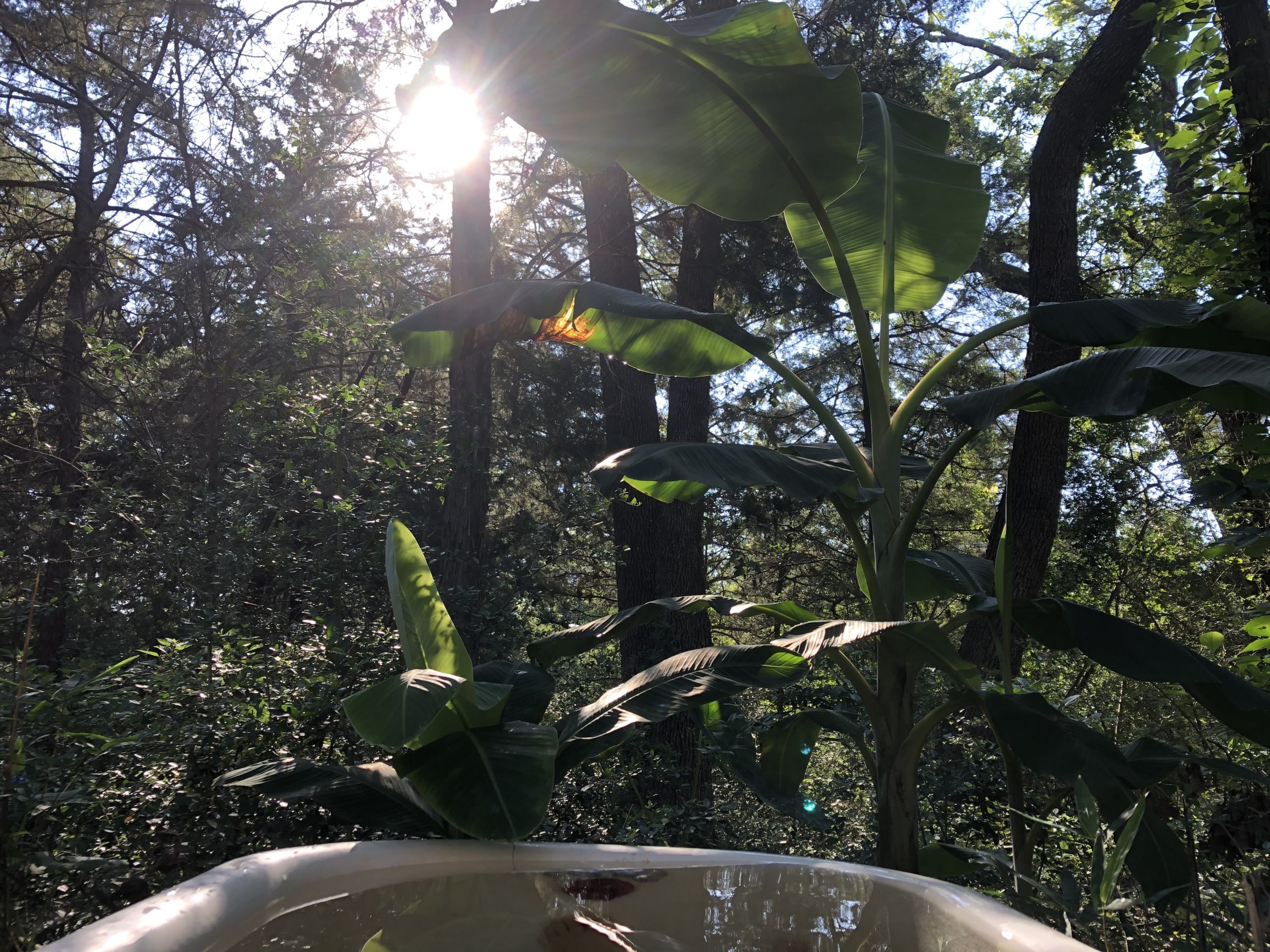 Yesterday’s Day: Playing in the Sun