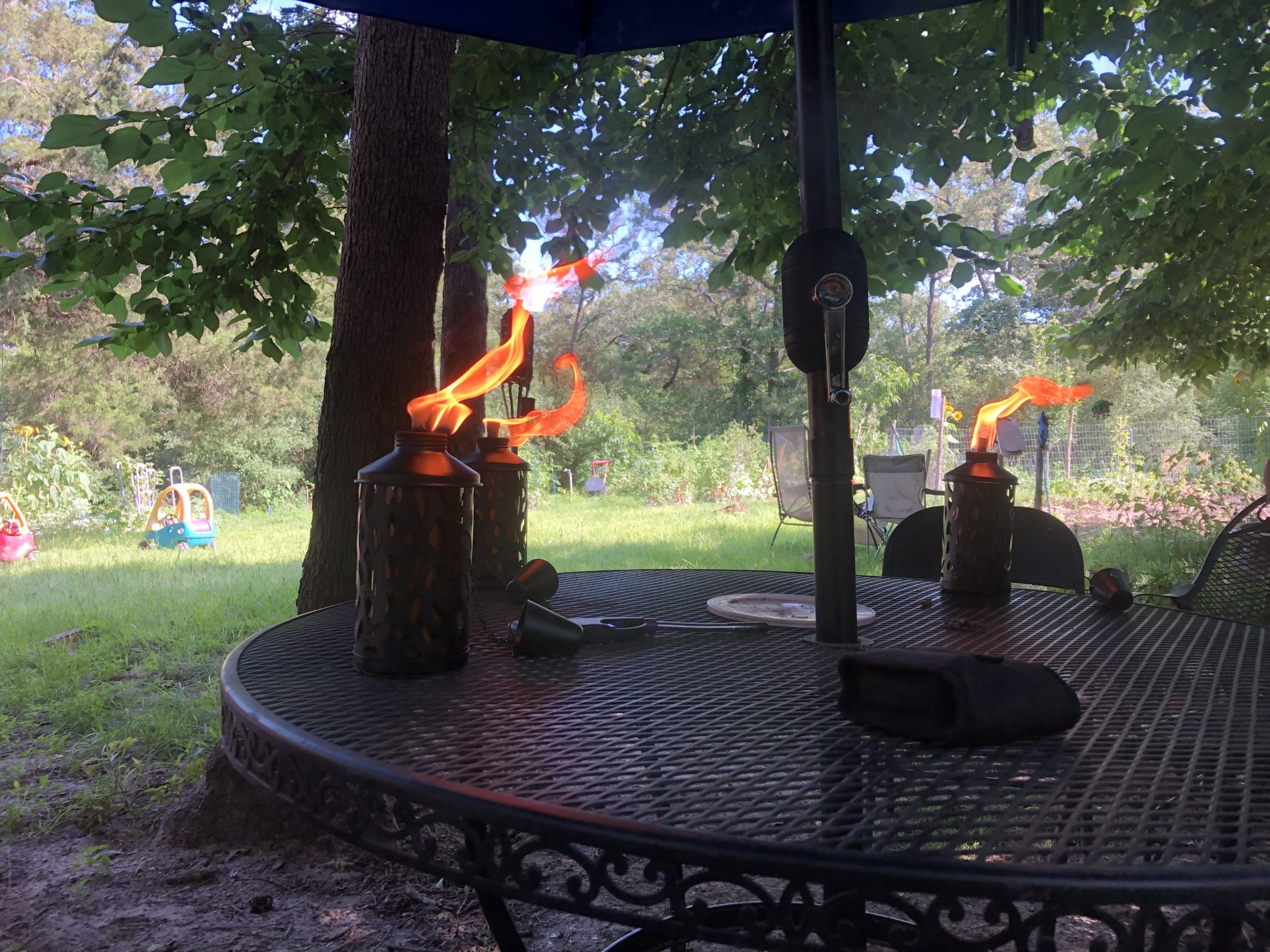 Weekend Events: moving Savana and resting