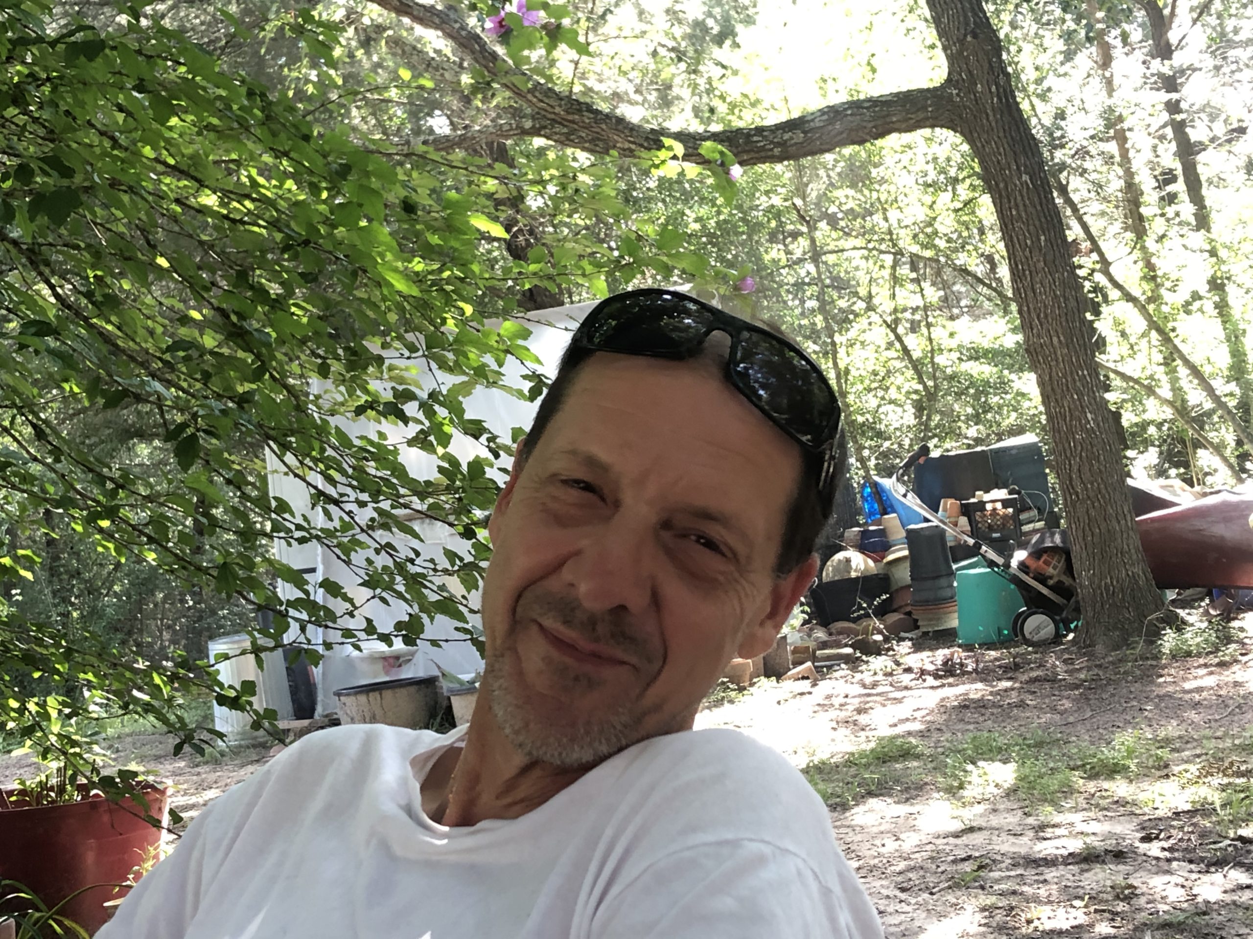 Yesterday’s Day: Playing In The Woods