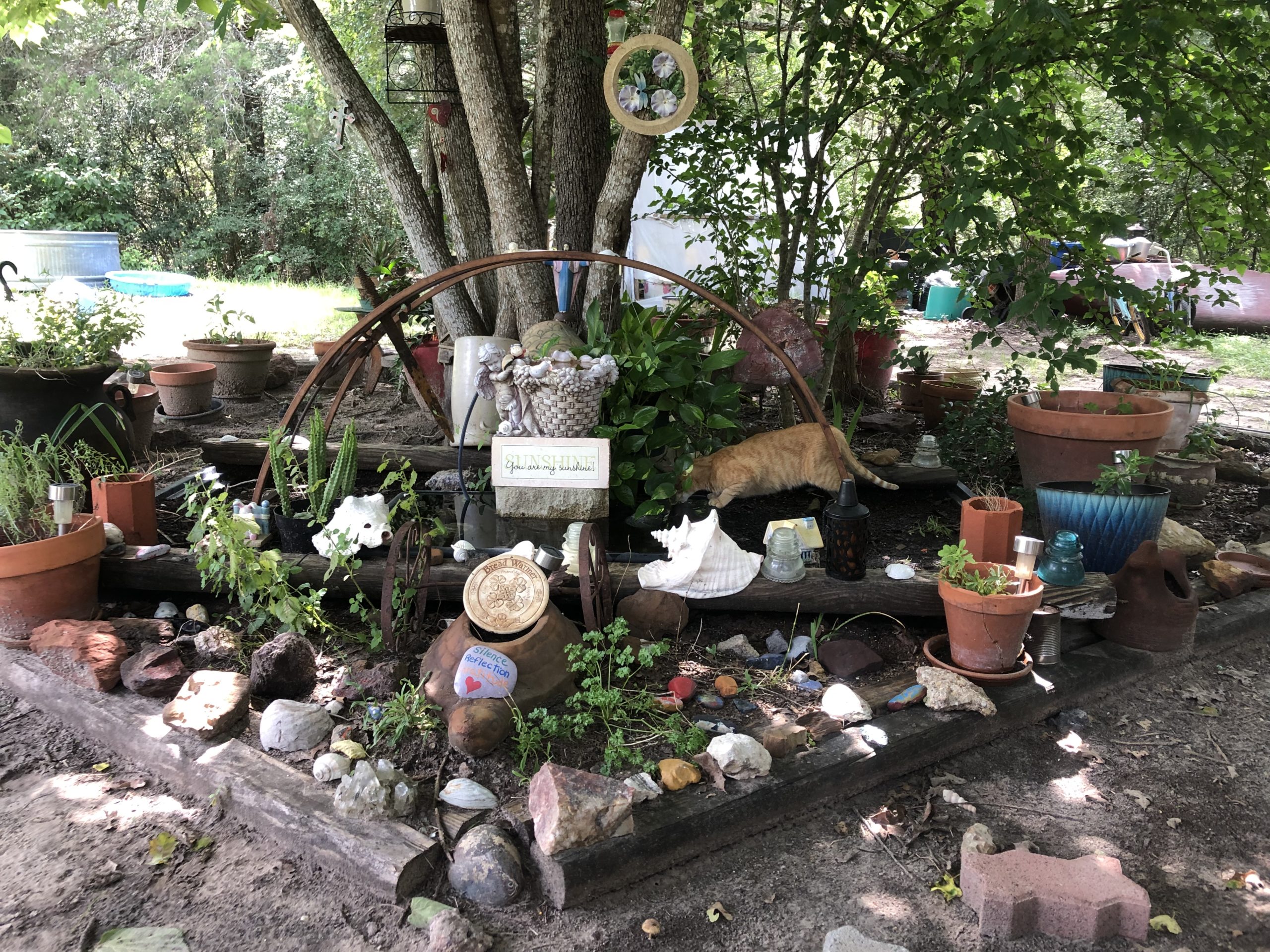 The Shelling Peas Show