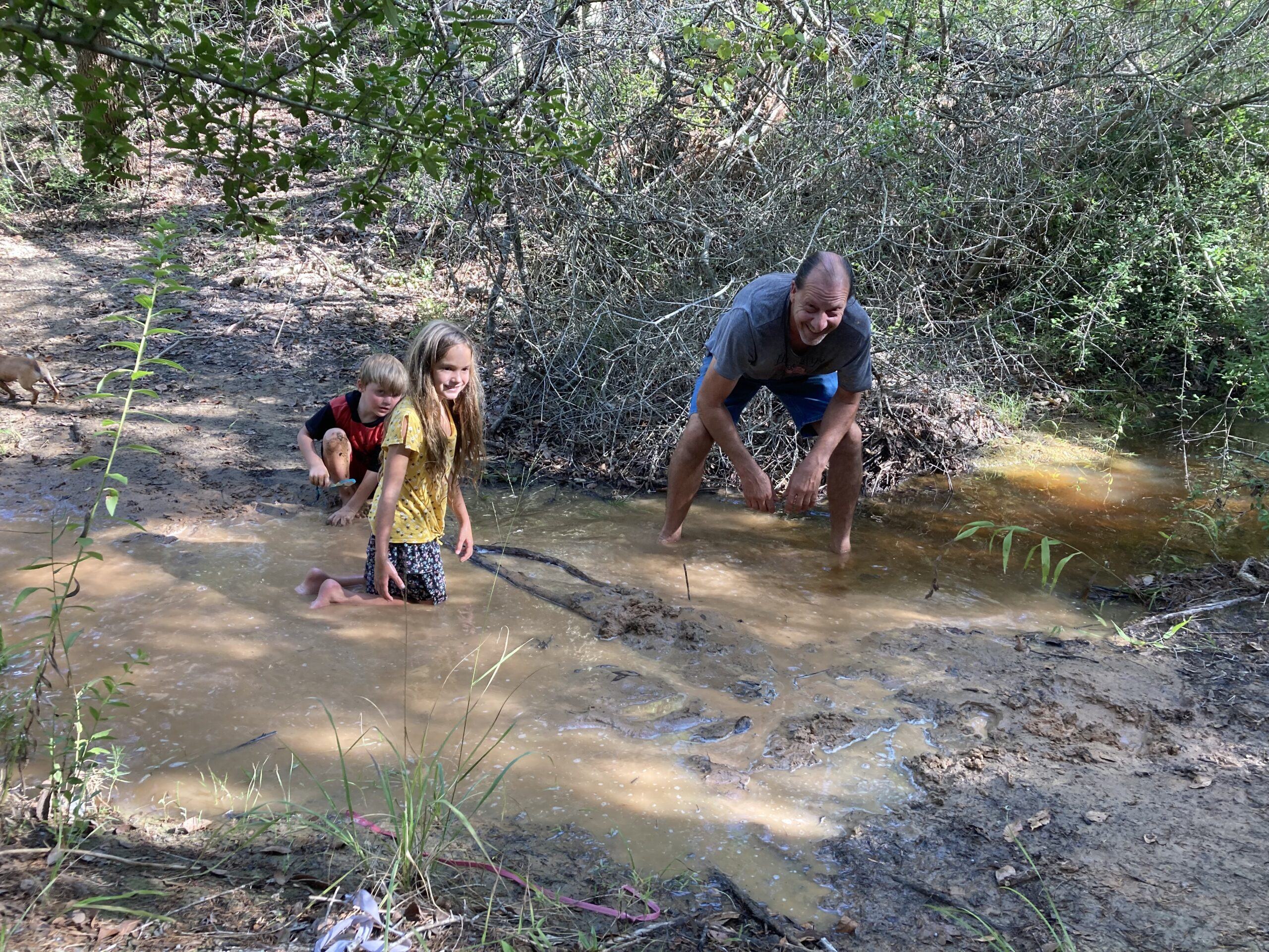 Horses, kids, goats and dogs.