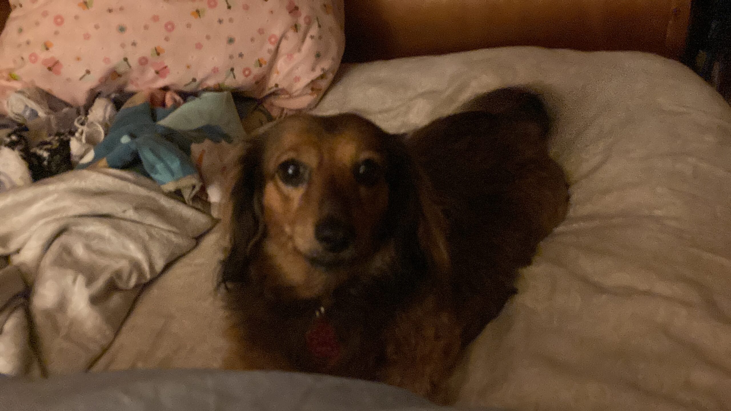 Work, rest, reading and anger.