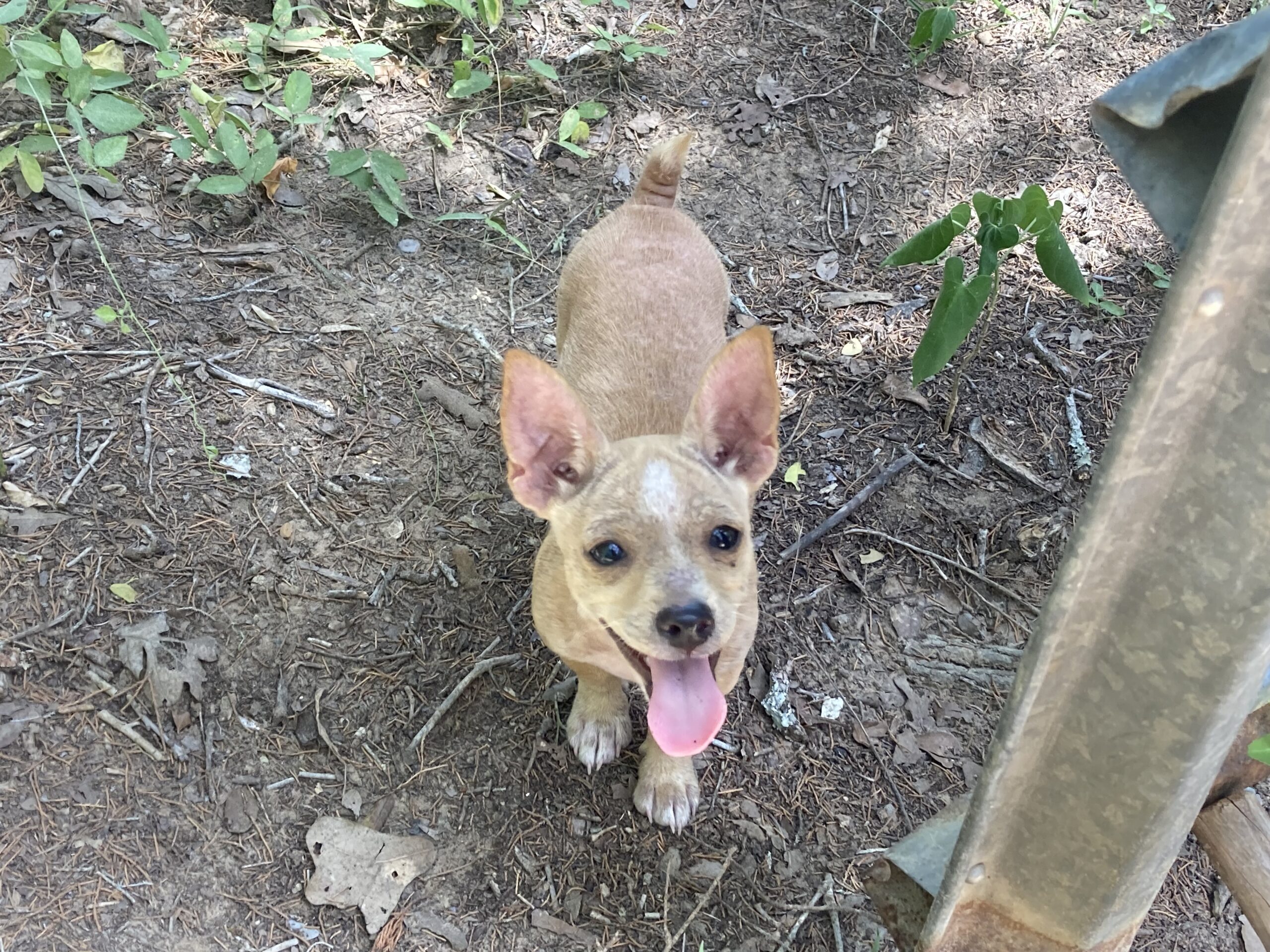 Remembering Gratitude