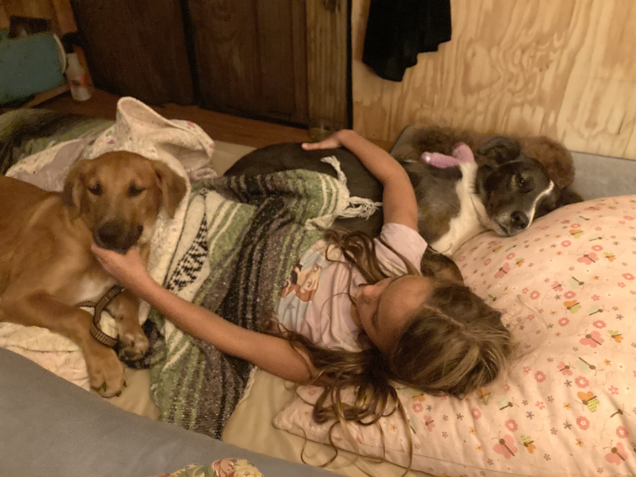 Grief Can Be Light and Beautiful and Full of Gratitude