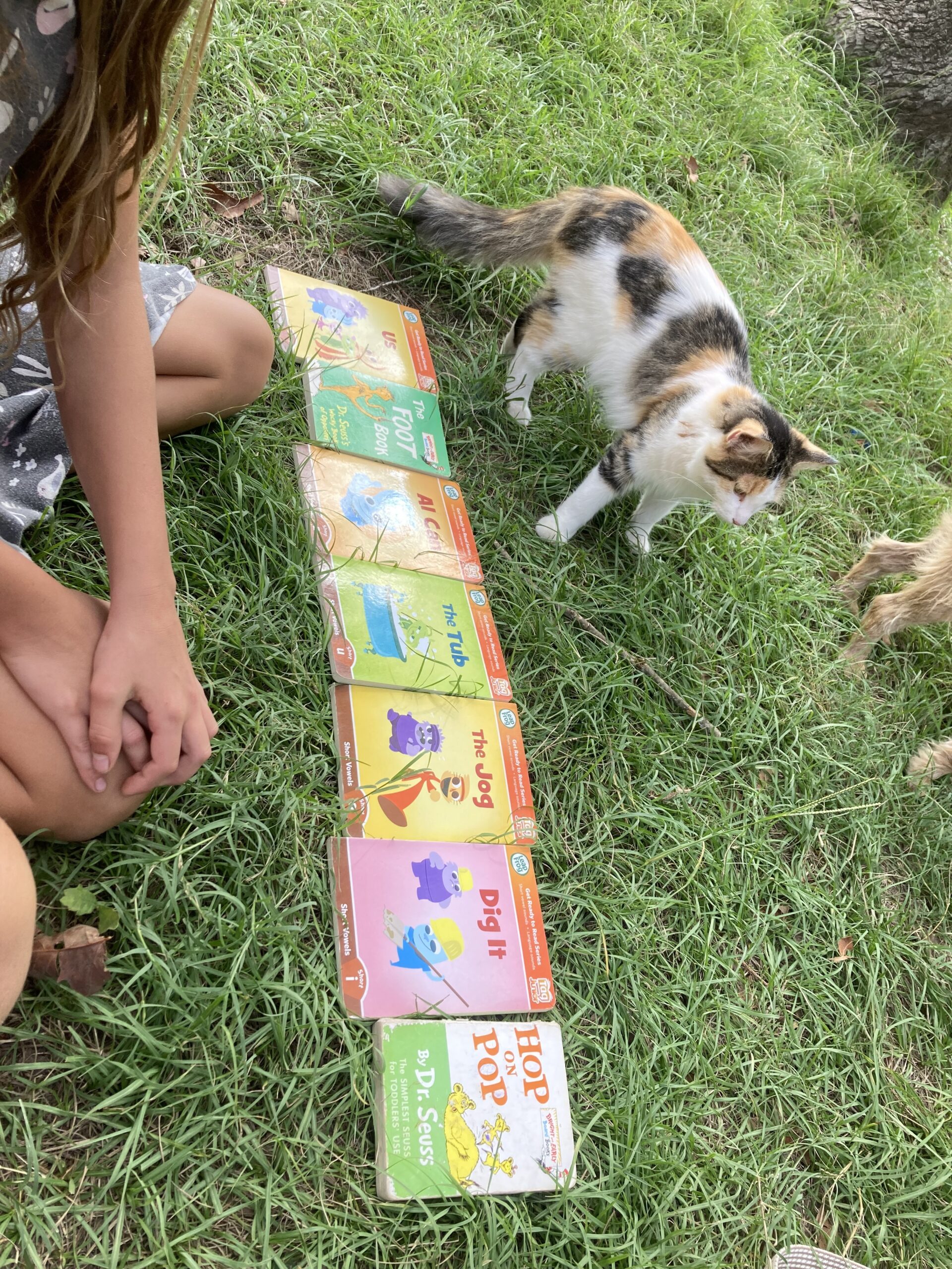 Story Time, Anger, Dog Training, Books, Clearing Trail and Missing Remy