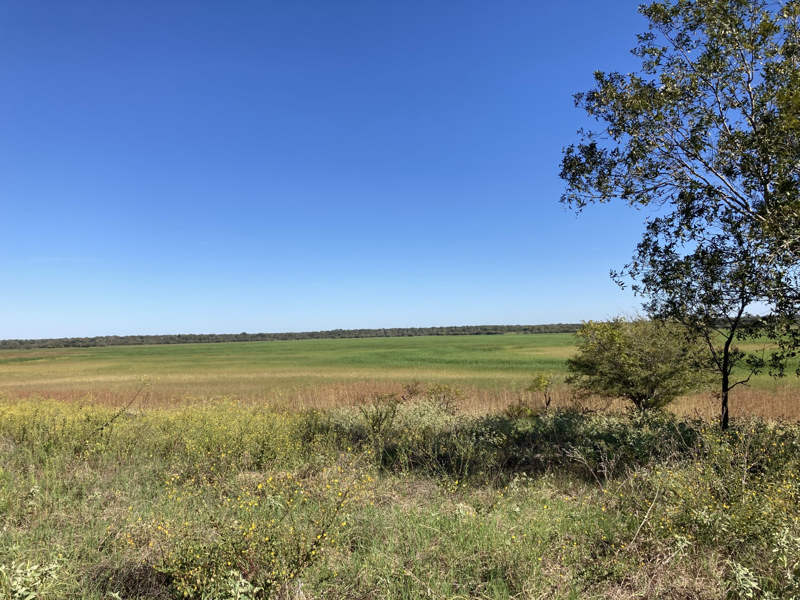 Sleepless Nights, Work and Planning a Visit to Utah