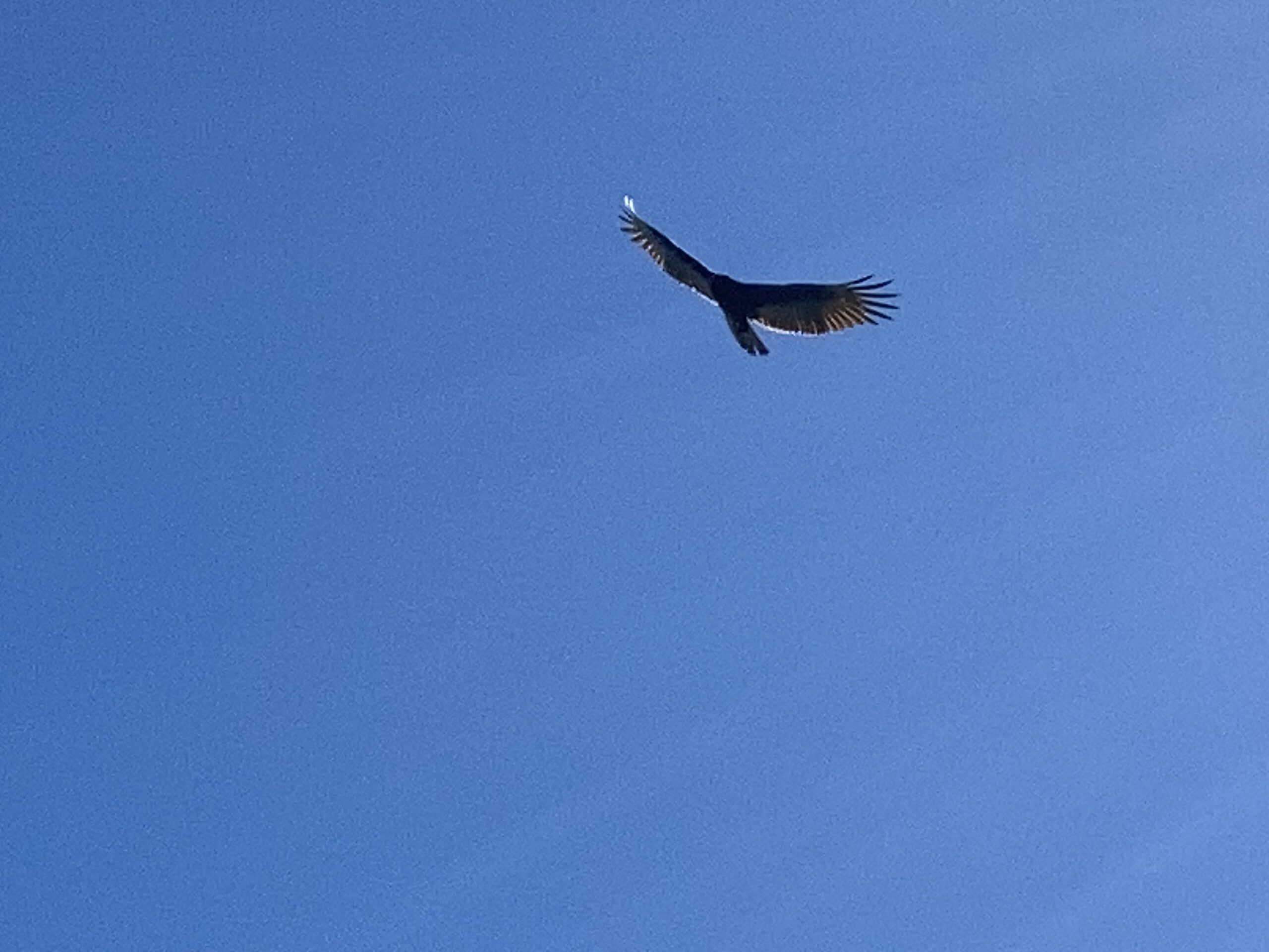 Being Present with Depression.