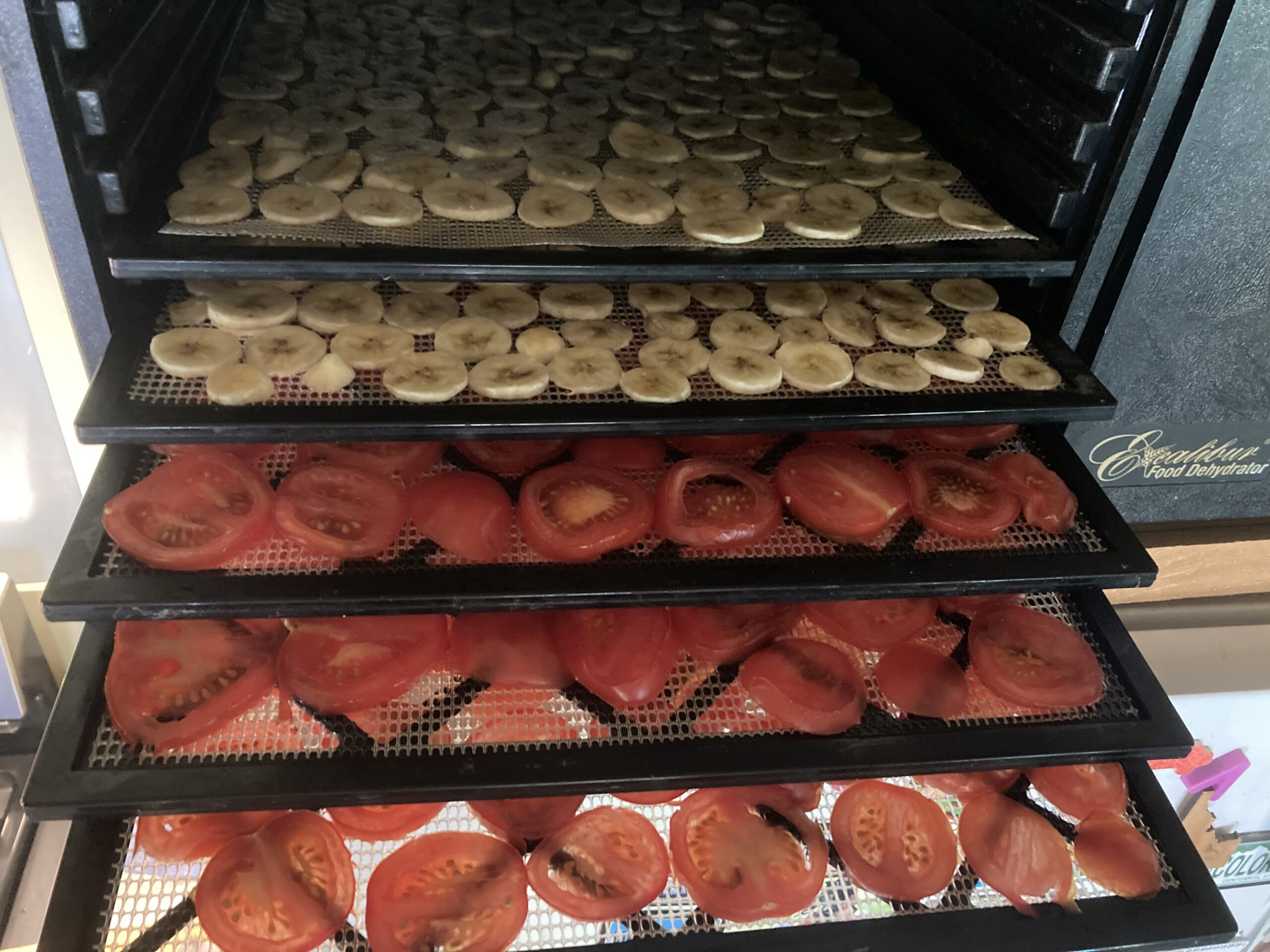 Home Day, Music Lessons and Play Practice