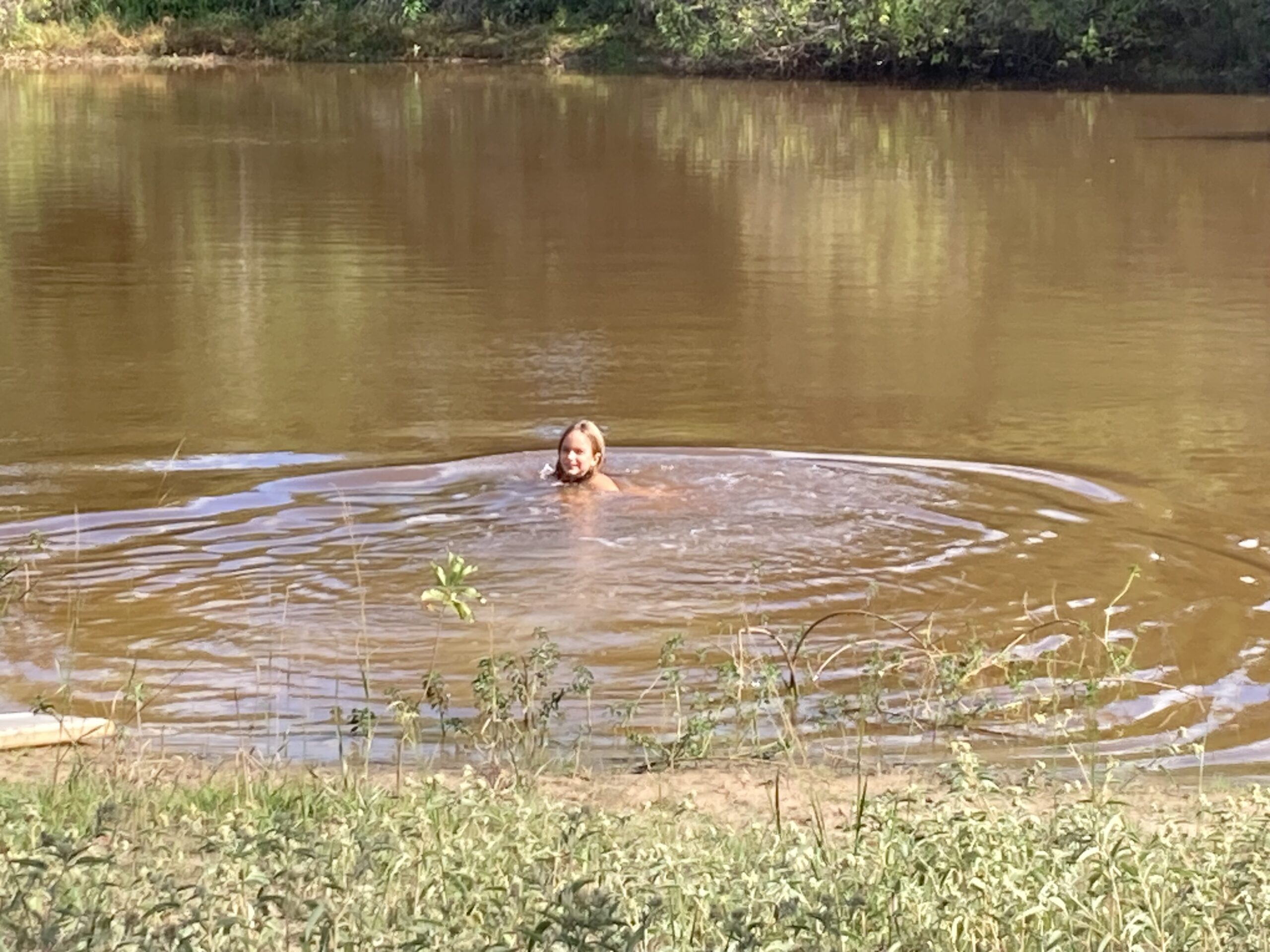 Farmers Market, 2 Pennies, Kindness to Strays and Driving At Night