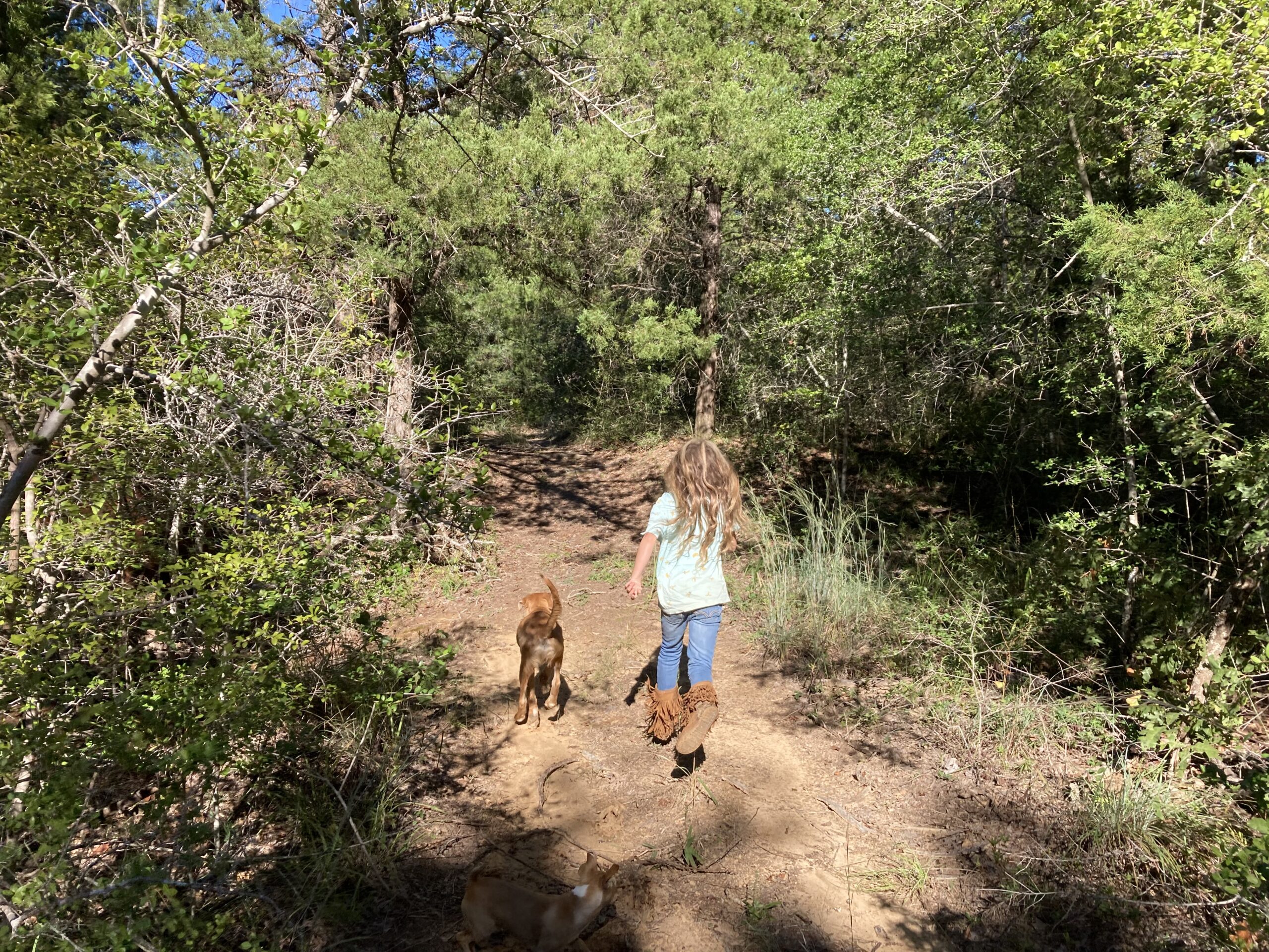 Story Time, Newspapers and Walk in the Woods