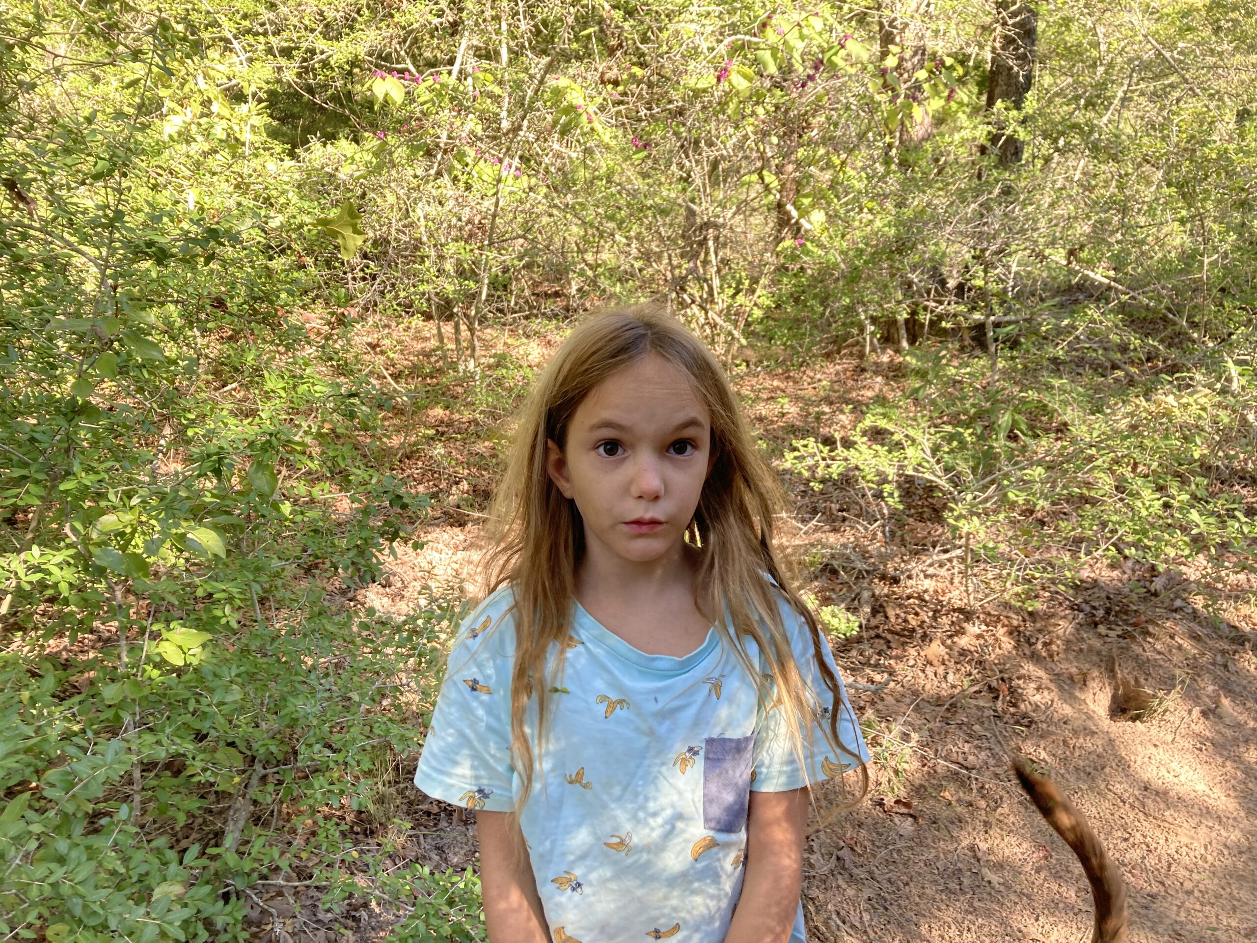 Slower Pace, Enjoying my Work and Friends