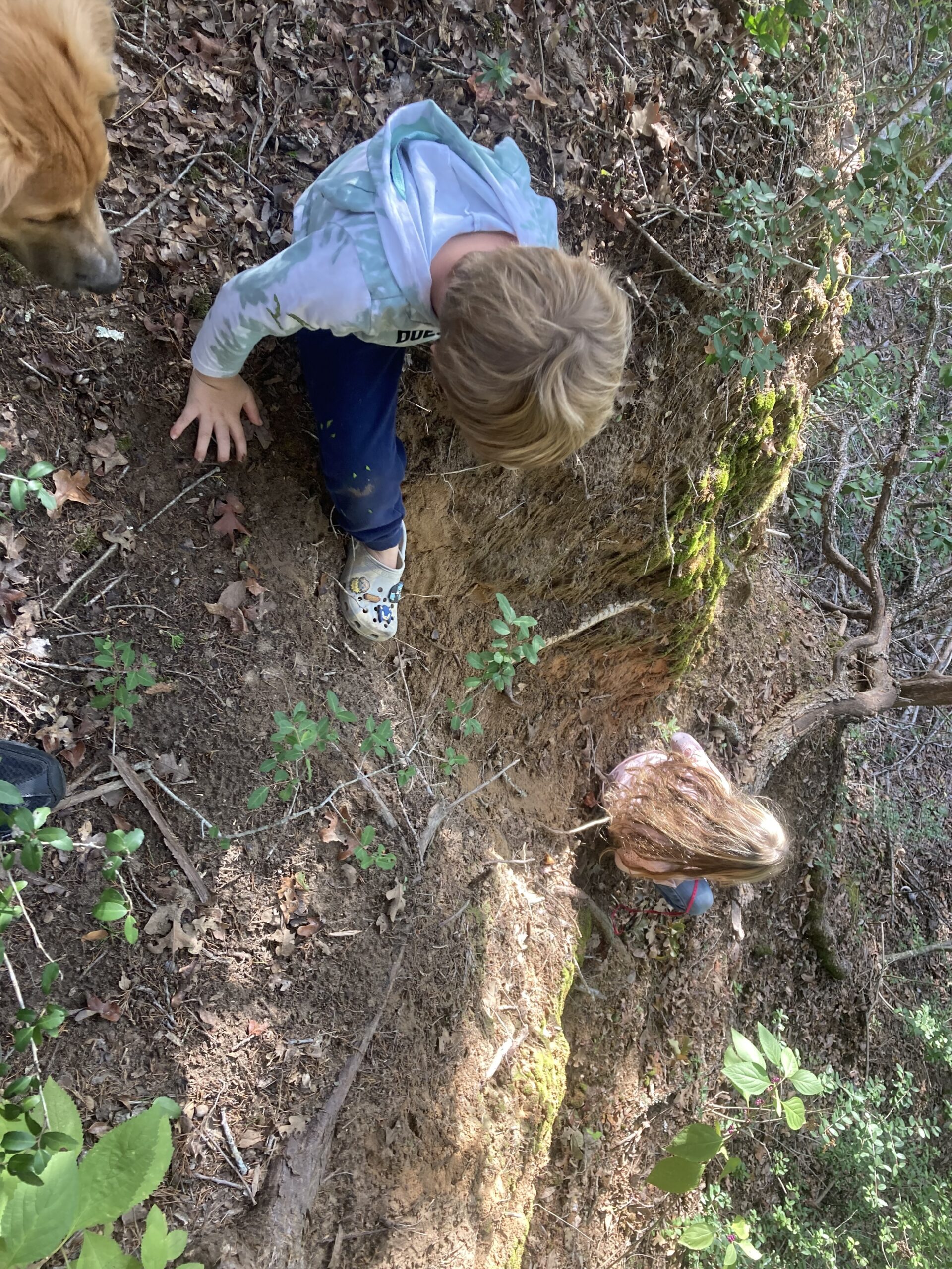 Riding Lessons and A Cat In The Woods