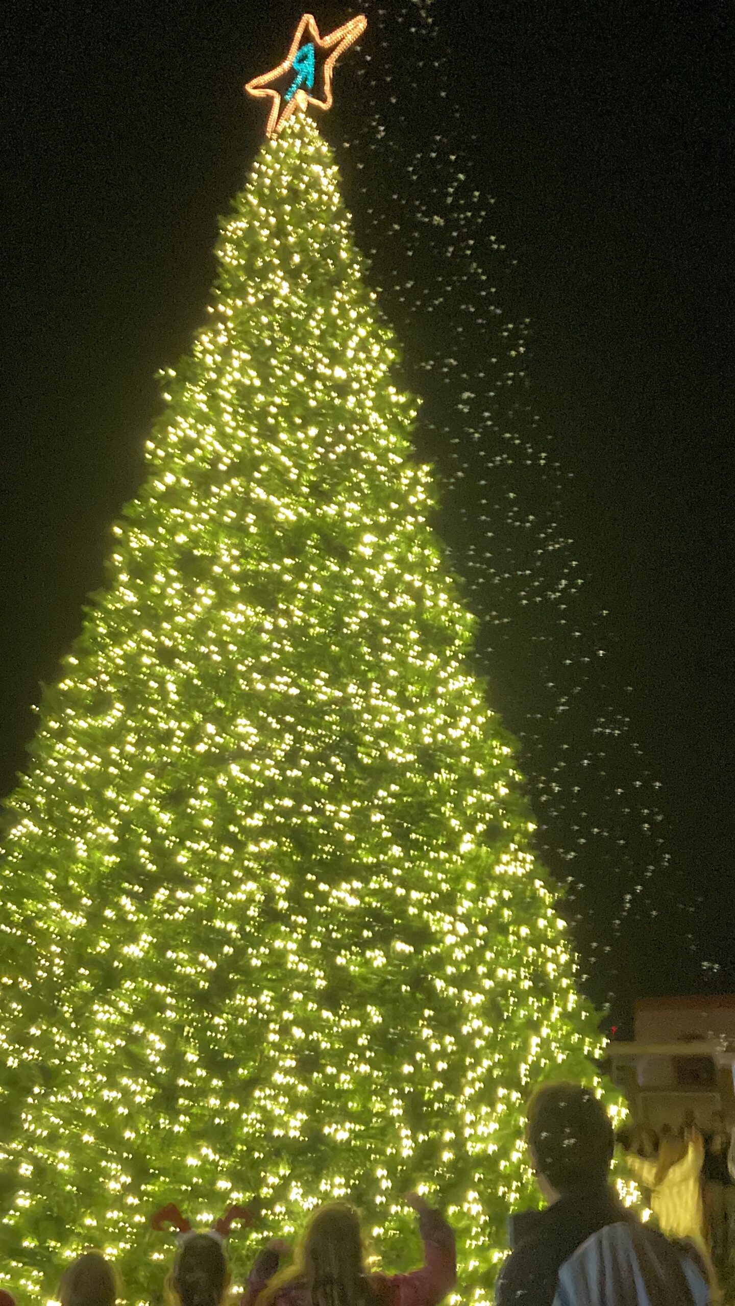 Horse Riding Lessons, Homeschool Co-op, Feeding the Homeless and Christmas Tree Lighting