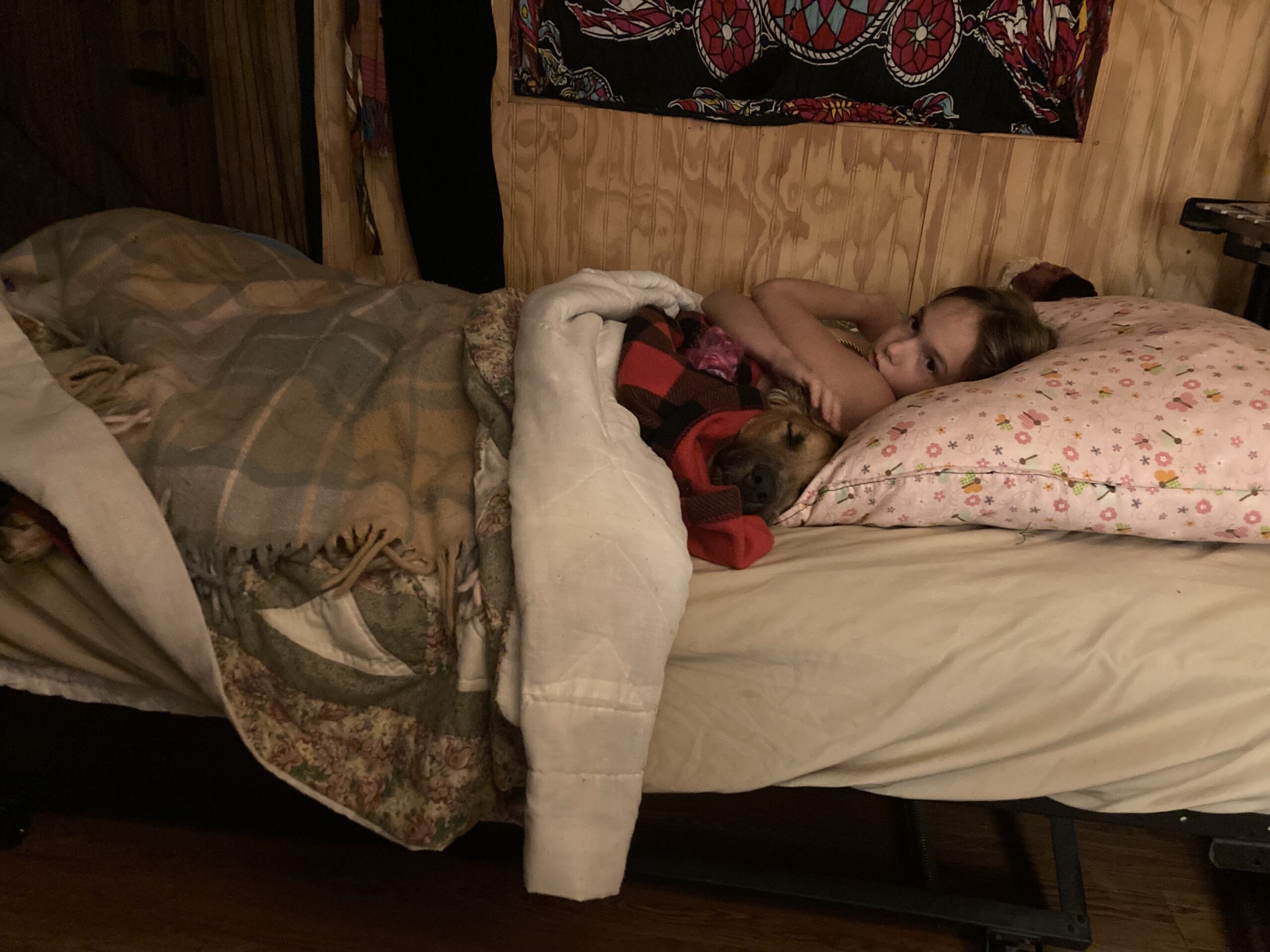 Morning Walk, Another Long Work Day and Audiobooks