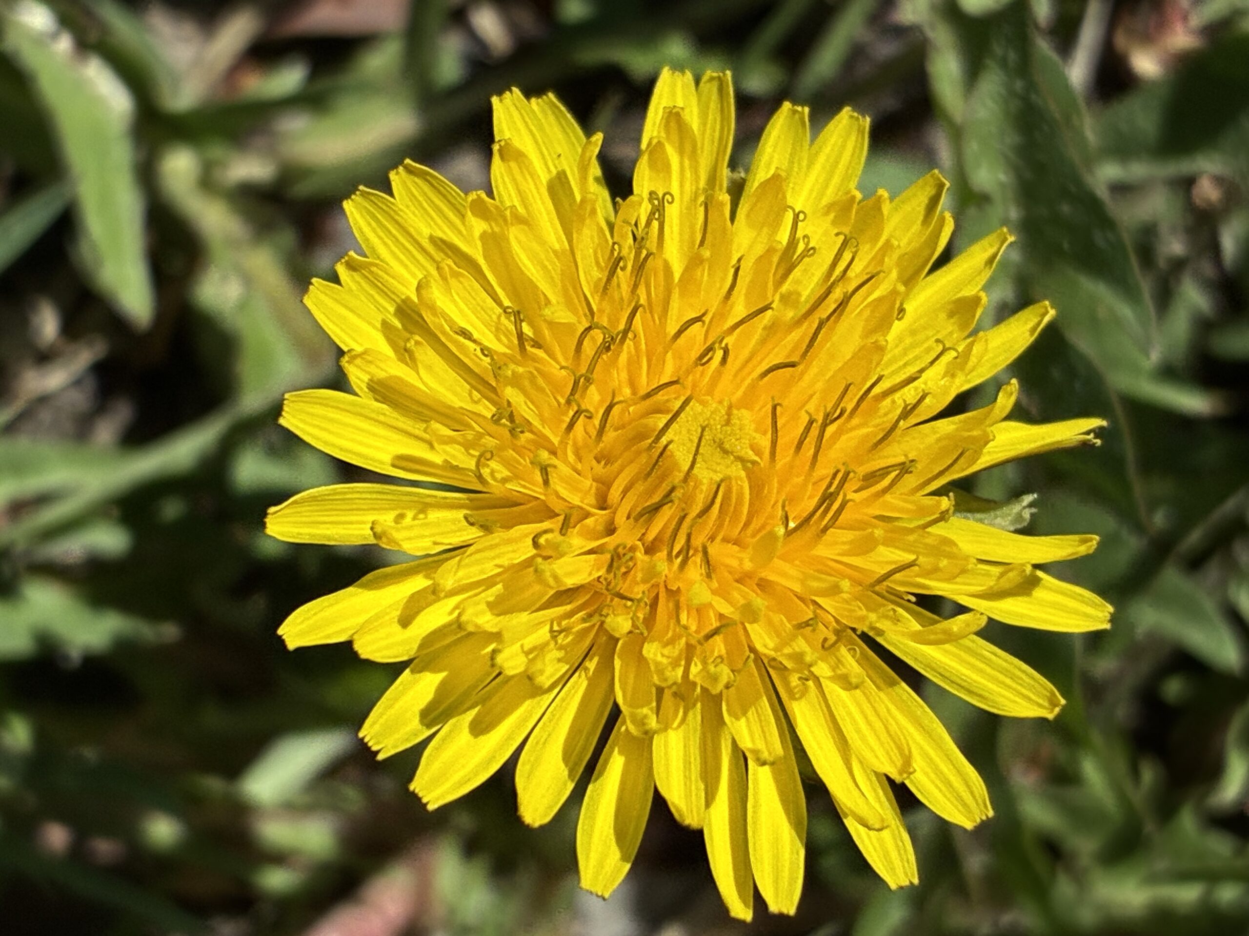 I Am Thankful For My New Website