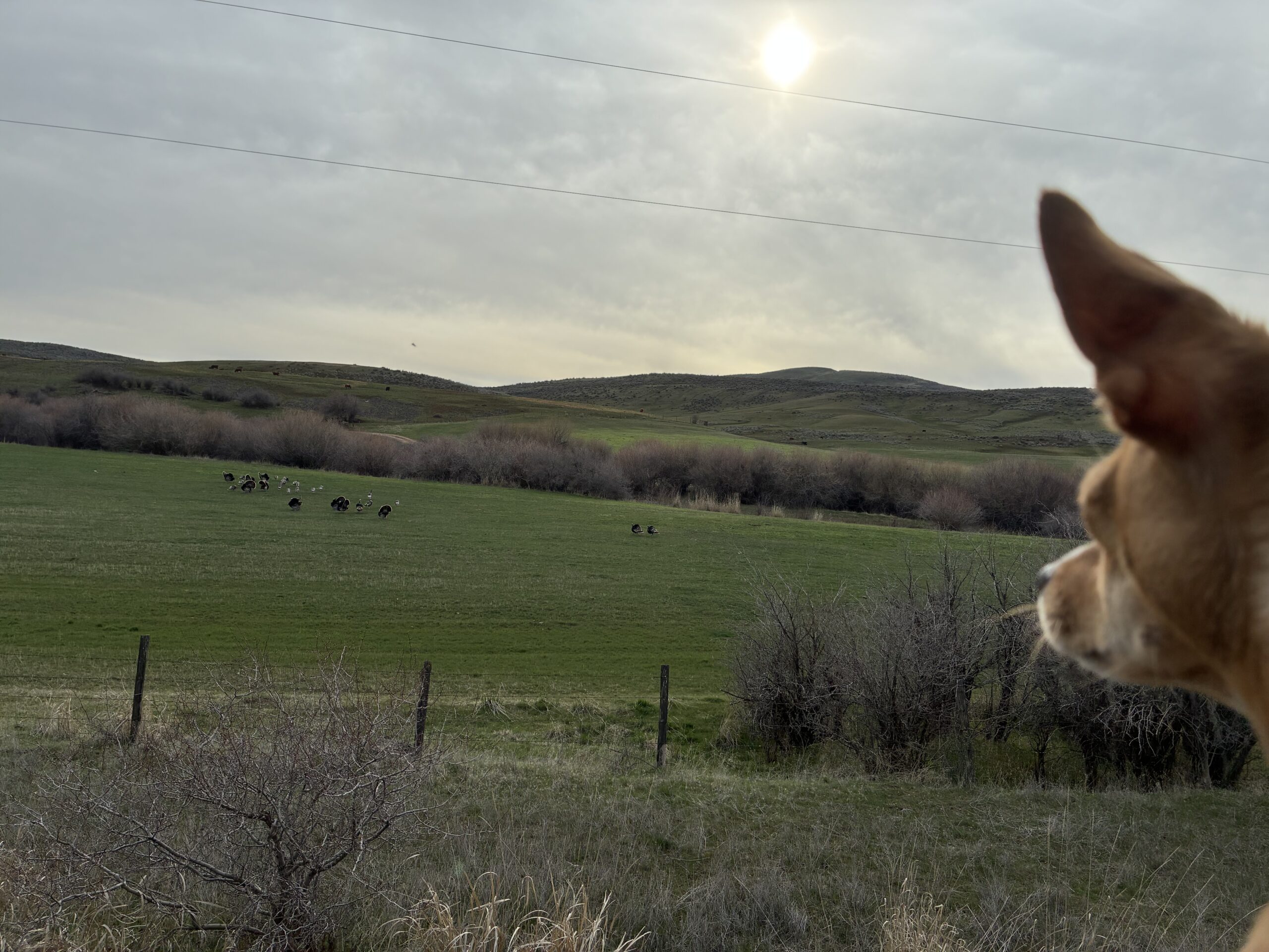 Home From Salt Lake City and A Getting a Workout