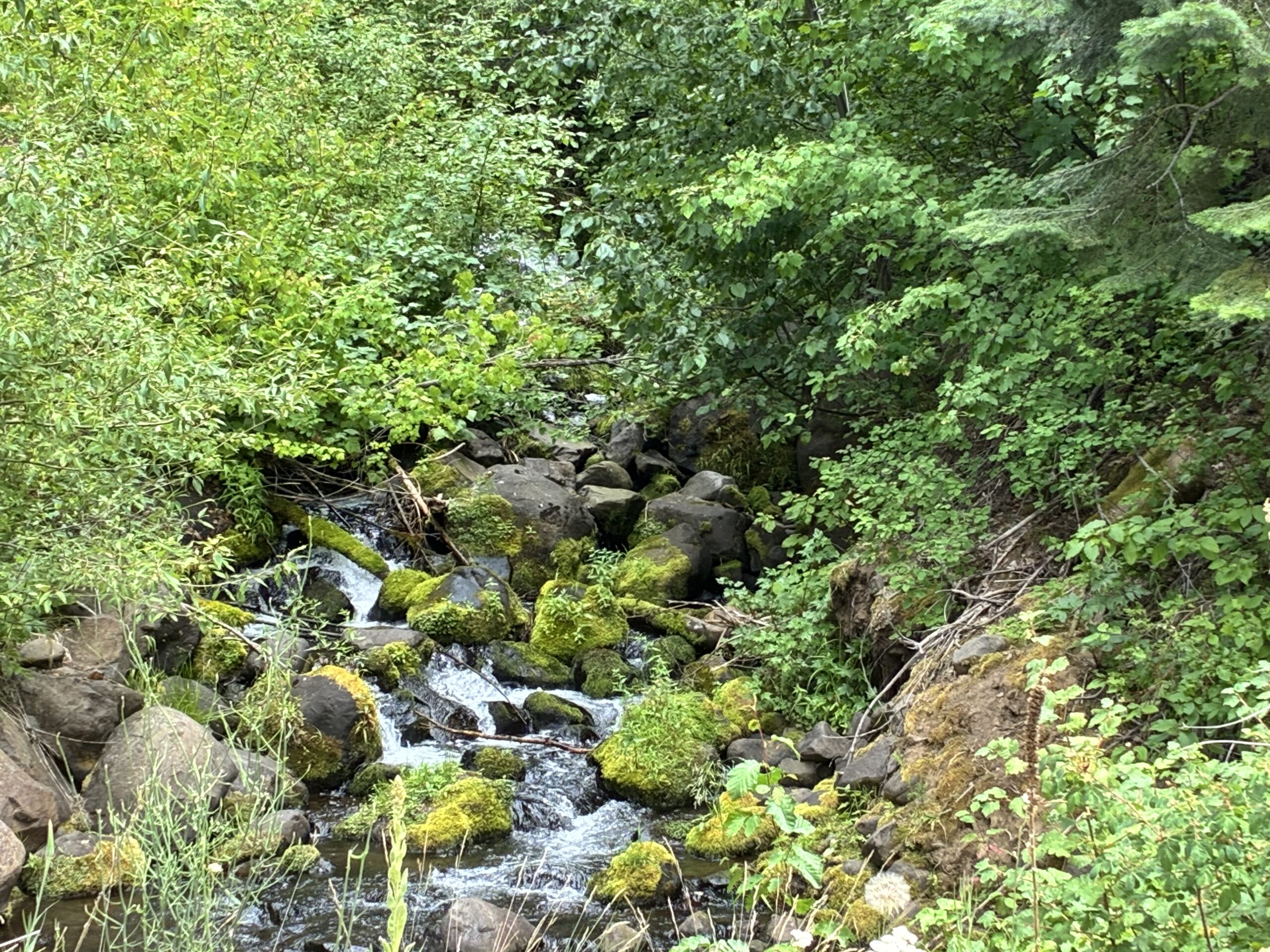 Restful Day or….